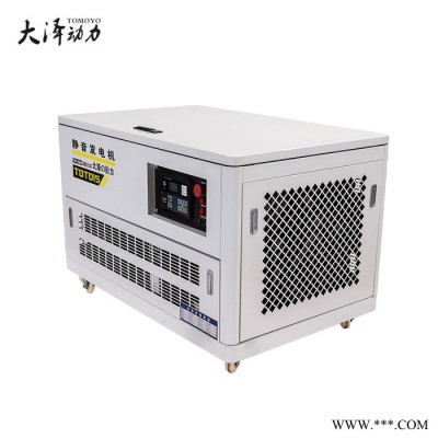 大泽动力 60KW应急汽油发电机现货图6