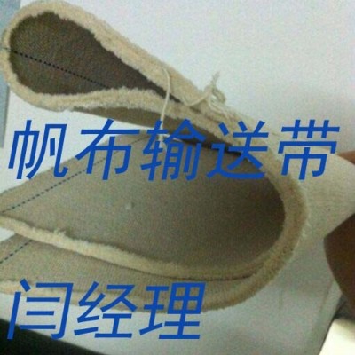 惠州帆布输送  防寒耐滑环形输送带 品质上乘图4