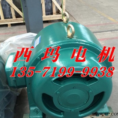 销西玛牌高压电机JR1510-4  850KW  6KV高压绕线滑环电机图2