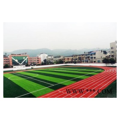 冀跃JY-102 EPDM塑胶跑道   运动学校户外场地 EPDM颗粒型地面 环保运动场塑胶跑道 防滑环保跑道图4