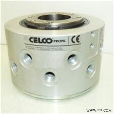 意大利CELCO PROFIL集电环