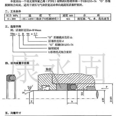 进口U形滑环组合封图2