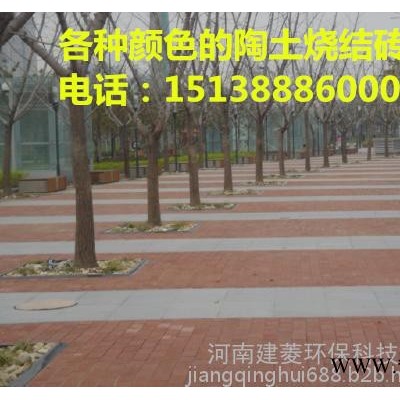 全国供应河南建菱200*100*40耐磨防冻防滑环保陶土烧结砖图5