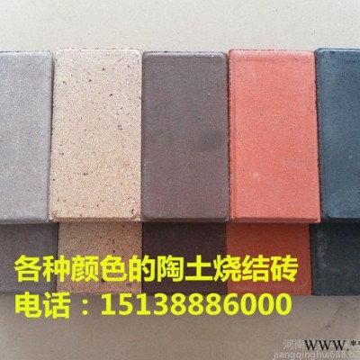 全国供应河南建菱200*100*40耐磨防冻防滑环保陶土烧结砖图8