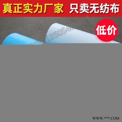供应服装衬里 鞋材衬布 家纺无纺布 防滑环保透气纺粘无纺布无妨布图4