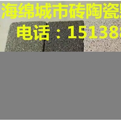 全国供应河南建菱200*100*50透水防滑环保耐磨陶瓷颗粒透水砖公园步道砖