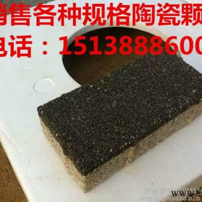 全国供应河南建菱200*100*50透水防滑环保耐磨陶瓷颗粒透水砖公园步道砖图8