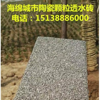 全国供应河南建菱200*100*50透水防滑环保耐磨陶瓷颗粒透水砖公园步道砖图3