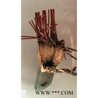 工巧智能科技 GQH-01电机端子压接漆包线免去漆皮 焊接机 漆包线焊接设备 ** 质保价廉图1
