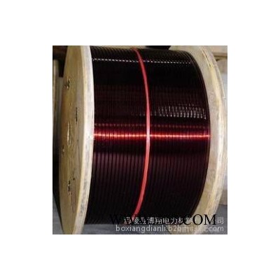 博翔QZ-2/130 漆包铜圆线 铜线 漆包线 铜漆包线 电机用铜线 变压器用铜线图2