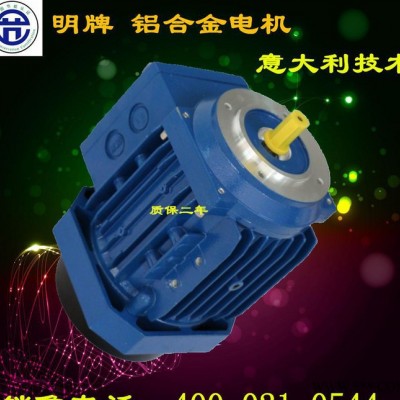 YE2高效节能铝合金电机喷塑烤漆进口轴承高温漆包线ABB 同质同款图3