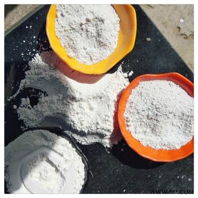 辰洋供应滑石粉 油漆橡胶滑石粉 油漆用滑石粉 现货图4