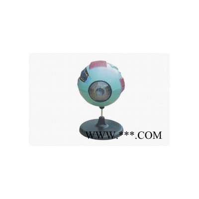 生物模型 恒温试验设备图2
