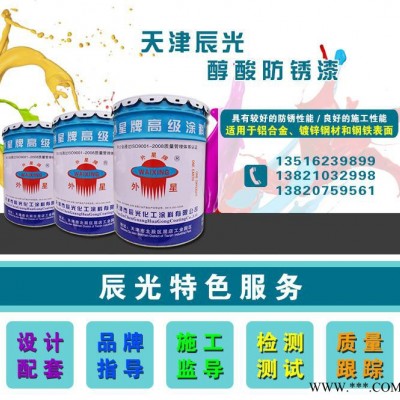【外星牌】防腐油漆  防腐漆  金属防腐漆图1