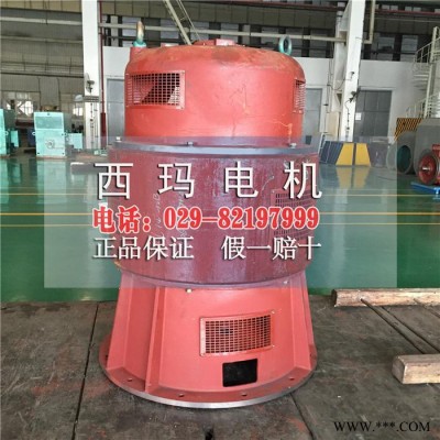 TK4800-22/3250 4800KW 10000V同步高压电机保养图2
