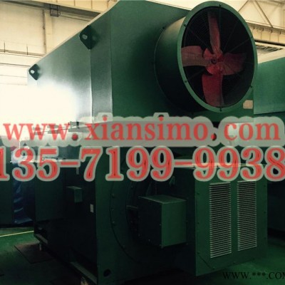 售西玛牌高压电动机YRKK7105-8  1000KW  10KV高压电机额定电压图3