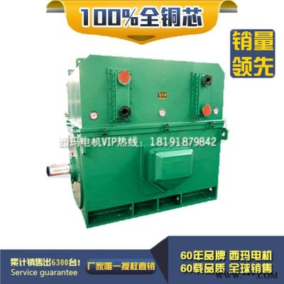 YKK6301-6 1250KW 6KV IP54 破碎机专用西玛绕线型高压电机 西玛YKK 6KV高压电机图3