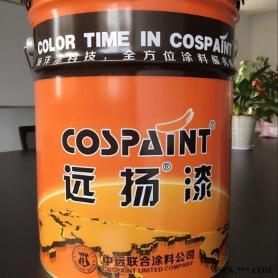 远扬漆G360-3水性纳米高温隔热涂料 油漆 金属涂装  工业涂料 油漆 船舶漆图2