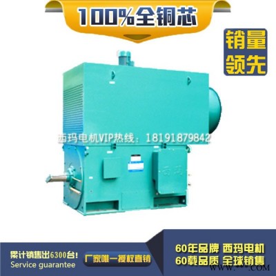 YKK5001-6 560KW 6KV IP54 破碎机专用西玛绕线型高压电机 西玛YKK 6KV高压电机图4