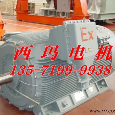 YBX2-4503-2 630kw 6000V 西玛高压电机图2