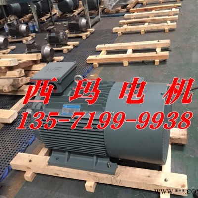 YBX2-4503-2 630kw 6000V 西玛高压电机图3