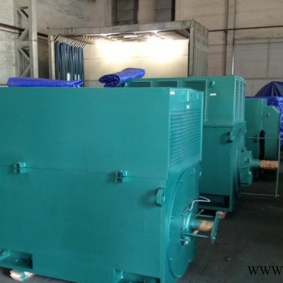西安西玛电机 Y系列Y4001-2 450KW 6KV 高压电机图2