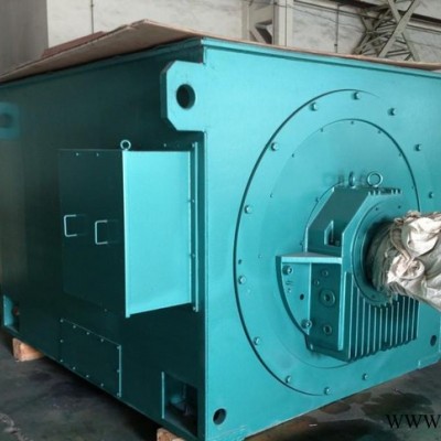 西安西玛电机 Y系列Y4001-2 450KW 6KV 高压电机图3