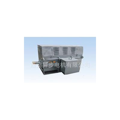 西玛电机牌Y7102-6 型号的三相高压电机图3