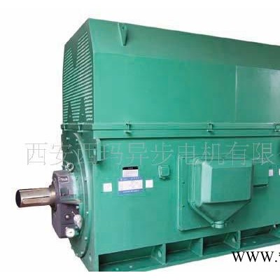 高效节能电机西玛电机 Y系列Y7103-10 2000KW 6KV高压电机图2