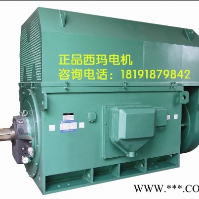 泰富西玛 YKK5601-10 500KW 6KV IP54 西玛YKK 6KV高压电机图3
