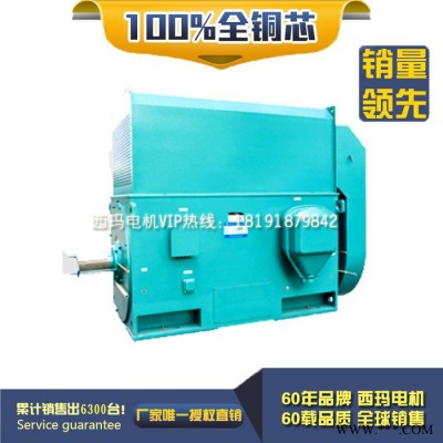 泰富西玛 YKK5603-2 1400KW IP54 10KV 西玛YKK 10KV高压电机图3