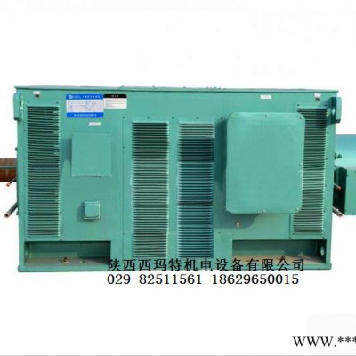 西安西玛电机YR8006-12 1250KW 10KV IP23破碎机绕线型高压电机