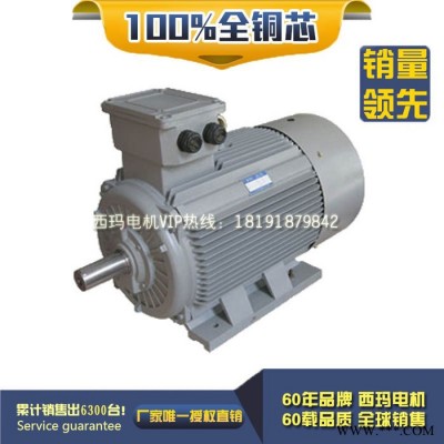 Y2-4502-8 400KW 380V西玛电机交流紧凑型三相异步电机 高压电机图2