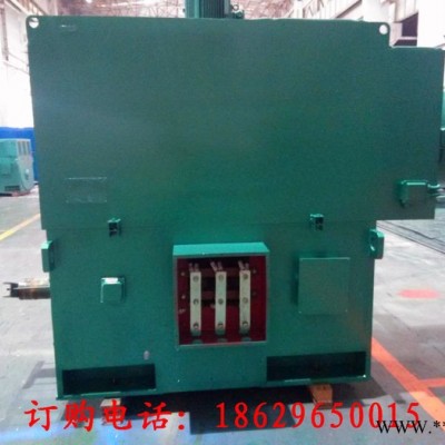 西安西玛电机YR5604-10 560KW 10KV IP23破碎机绕线型高压电机图2