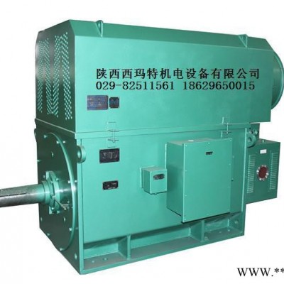 西安西玛电机YR5604-10 560KW 10KV IP23破碎机绕线型高压电机