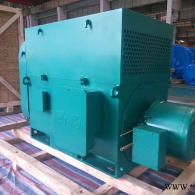 西安西玛电机YR5604-10 560KW 10KV IP23破碎机绕线型高压电机图3