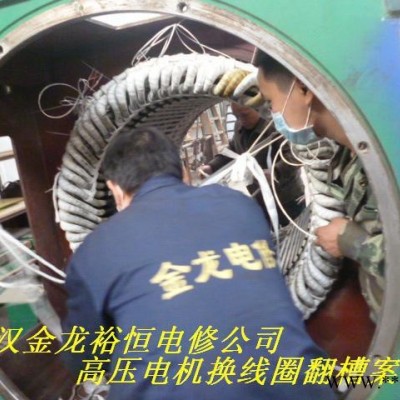 供应YRKSH355-630高压电机维修，进口电机维修。图3