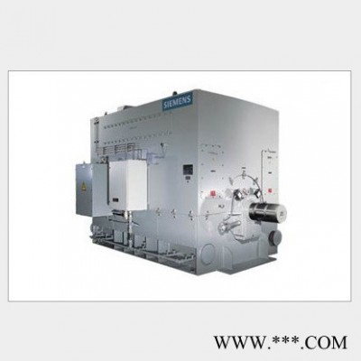 西门子高压电机1LA4500-4AN60-Z 西门子电机图3