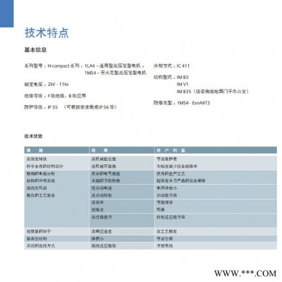 西门子高压电机1LA4500-4AN60-Z 西门子电机图2