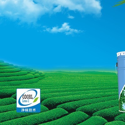 箭牌水漆 箭牌竹炭净味360内墙水漆 美国箭牌涂料品牌排行 箭牌油漆代理 健康环保美国箭牌水漆 **品牌箭牌涂料图3