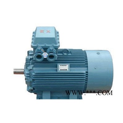 甘肃直流电机销售Y2-4003-4 400KW 6KV 西安电机厂图2
