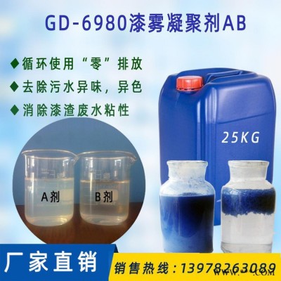 国电GD-6980漆雾凝聚剂ab剂 喷涂油漆污水处理漆雾凝聚剂ab剂图2