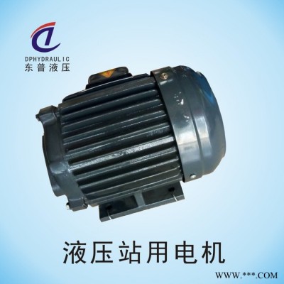 东普液压生产销售液压马达 1P0.75kw直流电机 齿轮室轴向马达图3