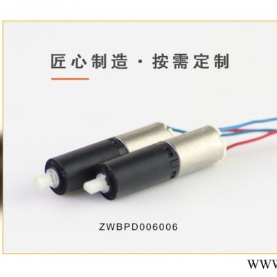 定制3v-24v便携式小型榨汁机微型直流电机低噪音齿轮减速器马达图4