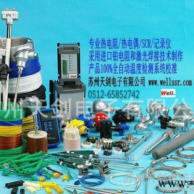 T-PT100 A级温度传感器-试验设备专用图2