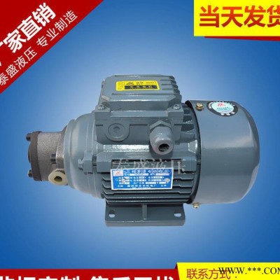 RHB-4JZ润滑摆线油泵电机组 TOP-10A直流电机油泵图2
