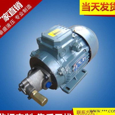 RHB-4JZ润滑摆线油泵电机组 TOP-10A直流电机油泵图3
