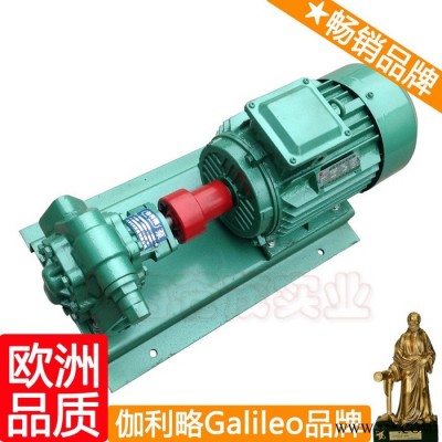 上海油漆齿轮泵 上海工程机械输油泵 上海离心泵齿轮泵 星拾图5