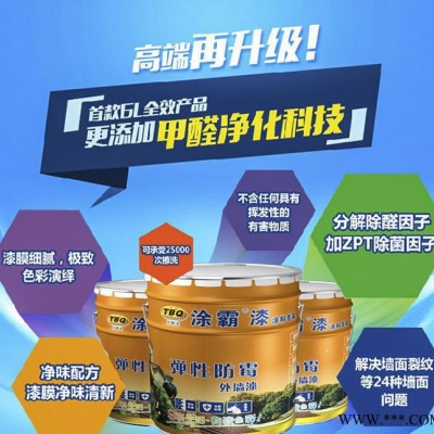 涂霸漆 外墙涂料 室外涂料乳胶漆 涂料 油漆 弹性防霉 可调色图2