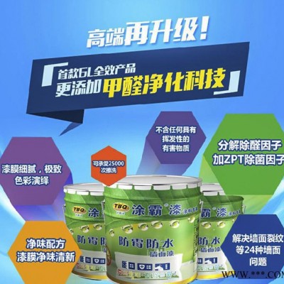 涂霸漆 内墙涂料 室内涂料 乳胶漆 涂料 油漆 防霉防水 可调色图2